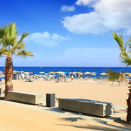 Apartamento In Near The