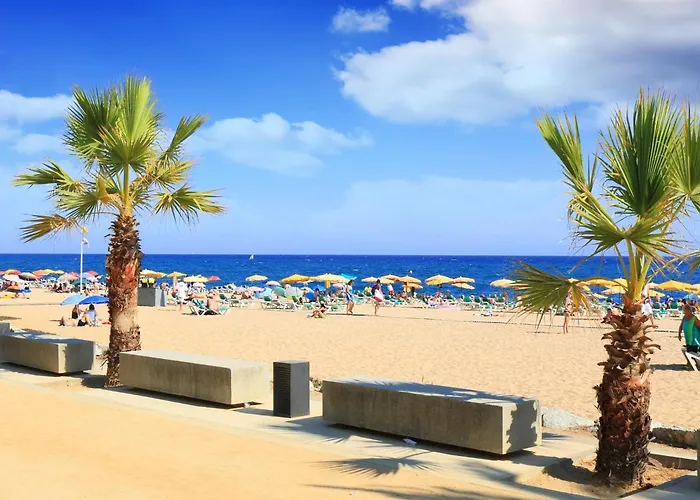 Apartamento In Near The